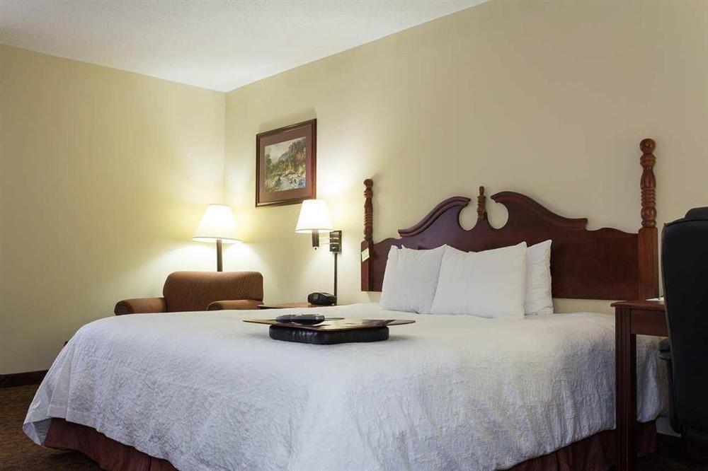 Hampton Inn Dickson Rum bild