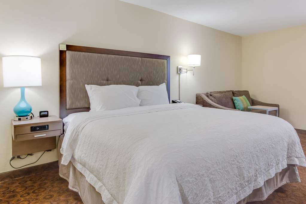 Hampton Inn Dickson Rum bild